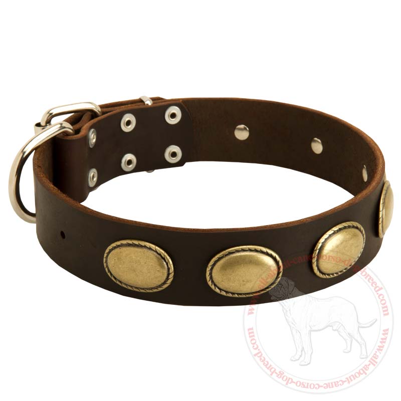 Splendid Vintage Ovals Leather Dog Collar for Cane Corso