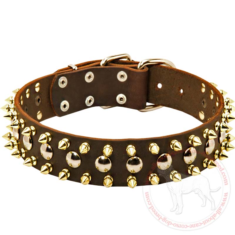 Designer Leather Spiked and Studded Dog Collar for Cane Corso