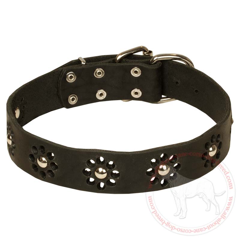 "Flower Style" Leather Dog Collar for Cane Corso