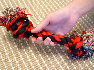 2-Knot Fiber Bone to Keep Teeth Clean And Tartar Free! - Click Image to Close