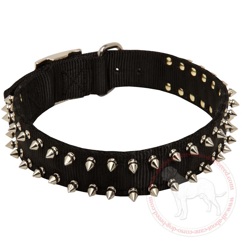 Cane Corso Waterproof Nylon Dog Collar with Spikes