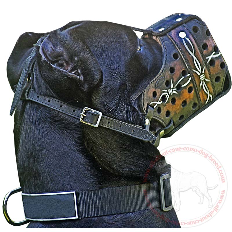 Hand-painted Cane Corso Leather Dog Muzzle - Click Image to Close