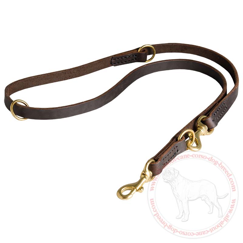 Leather Dog Slip Leash for Different Activities