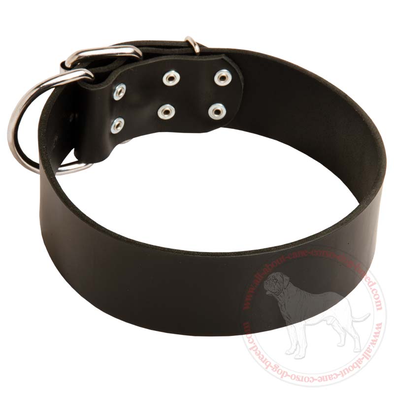 Extra Wide Leather Buckle Collar for Cane Corso