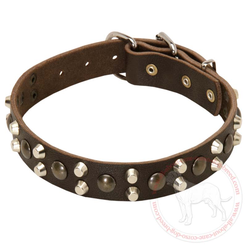 Leather Dog Collars with Studs and Pyramids for Cane Corso