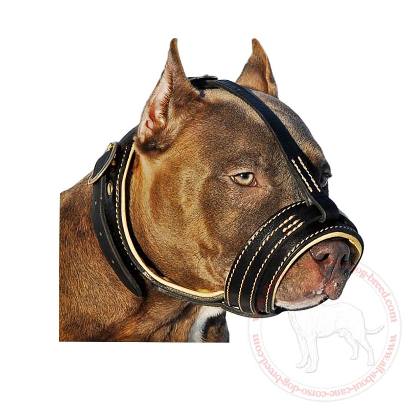 Lightweight Nappa Padded Cane Corso Leather Muzzle