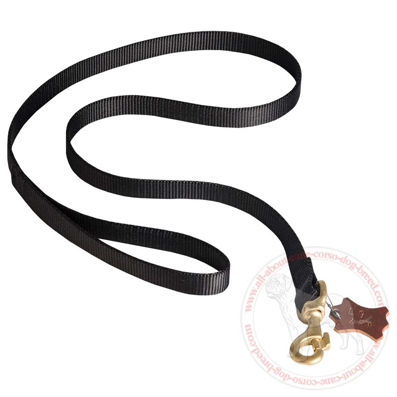 6FT Deluxe Nylon Lead with Swivel Snap and Double Security Lock