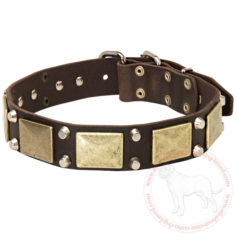 Vintage Dog Collar with Massive Brass Plates and Nickel Pyramids