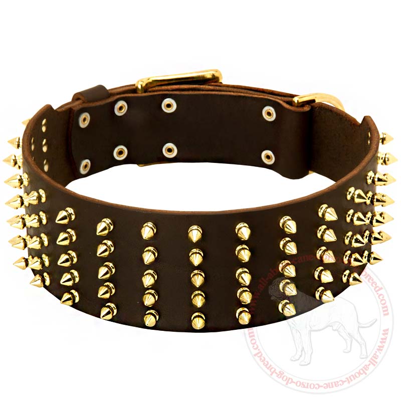 Fashion Extra Wide Spiked Leather Dog Collar for Cane Corso