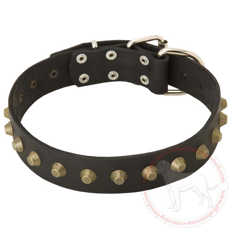 Gorgeous Wide Leather Collar with Pyramids for Cane Corso