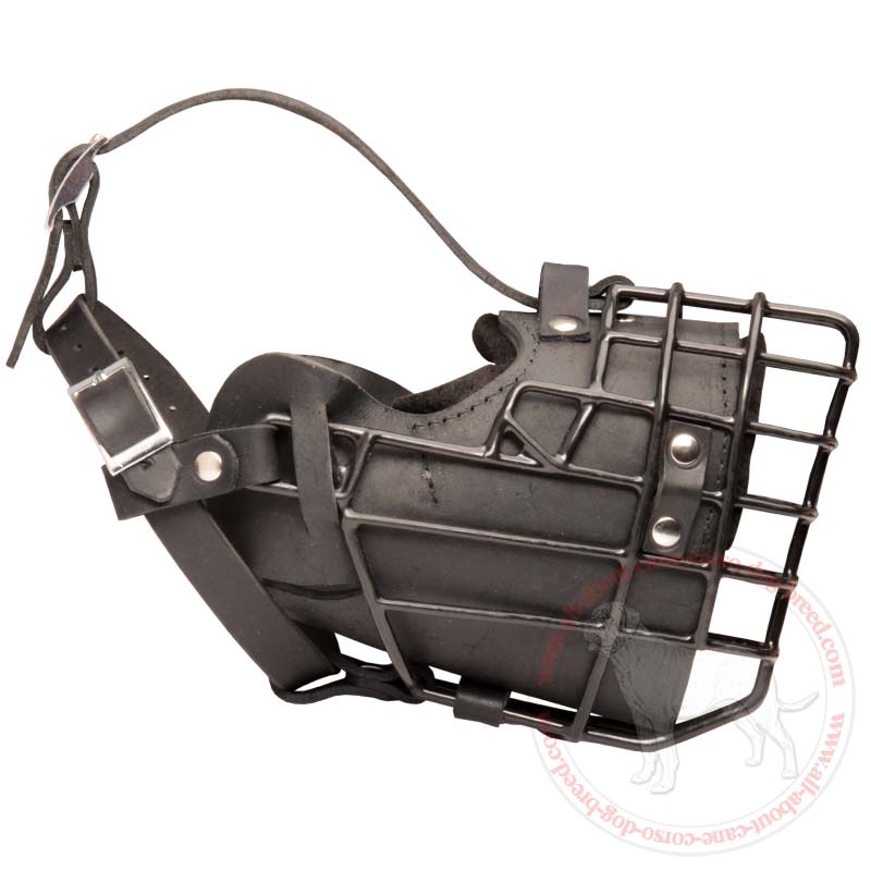 Fully Padded Wire Basket Dog Muzzle for Winter Walking
