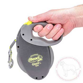 Comfortable Cane Corso retractable leash