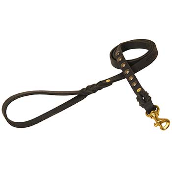 Cane Corso breed leather dog leash with 6 studs adornment
