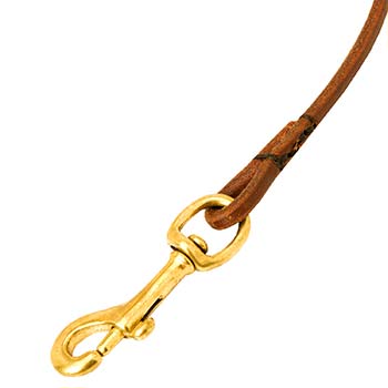 Cane Corso breed leather dog leash with reliable snap hook