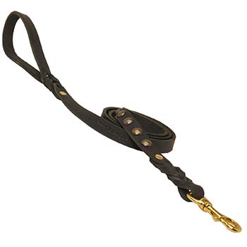 Cane Corso leather leash for successful training