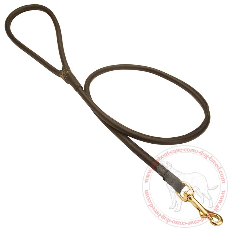 Rolled Leather Dog Leash 4 foot Round for Rottweiler