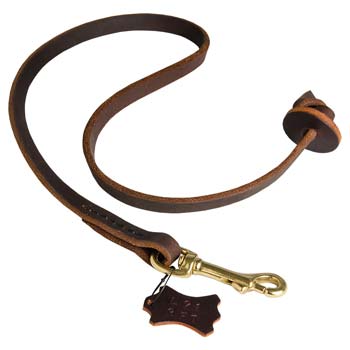 Snap hook on leather leash for Cane Coros