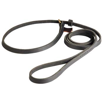 Leather Leash Choke Collar for Cane Corso