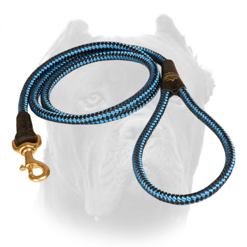 Easy controlling nylon cord leash