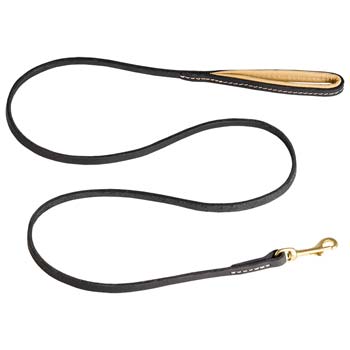 Leather Cane Corso stitched leash with brass snap hook