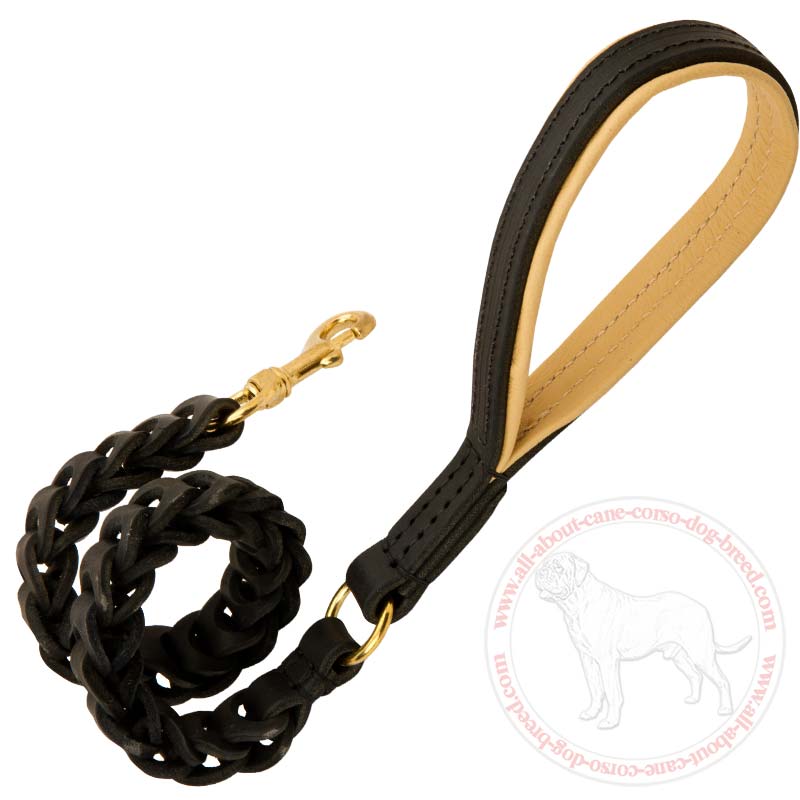 braided dog leash