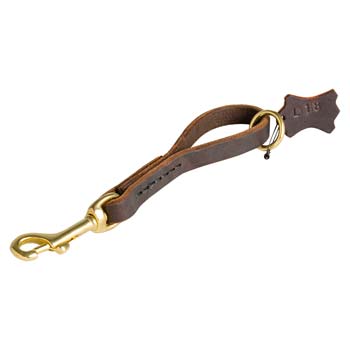 Leather Pull Tab Dog Leash > Cane Corso Breed > Dog Gear