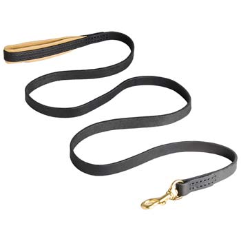 Super Durable Canine Lead for Walking and Training