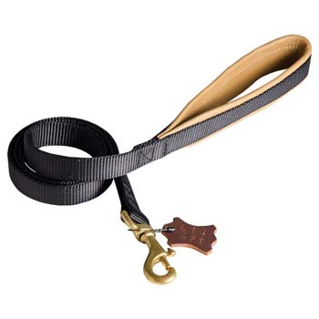 Top-Quality Dog Leash for Cane Corso Walking