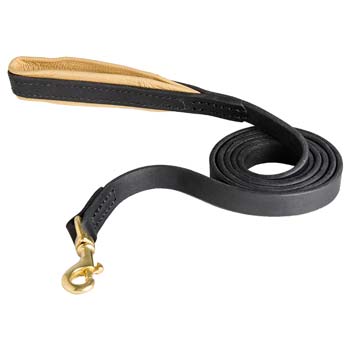 Quality Dog Leash for Cane Corso