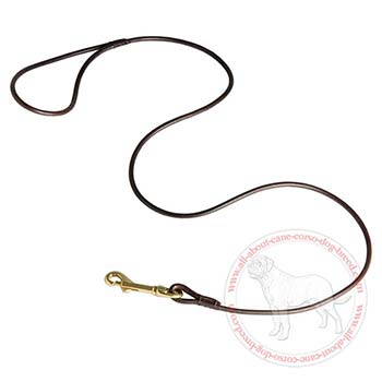 Dog Leash Made of Genuine Leather