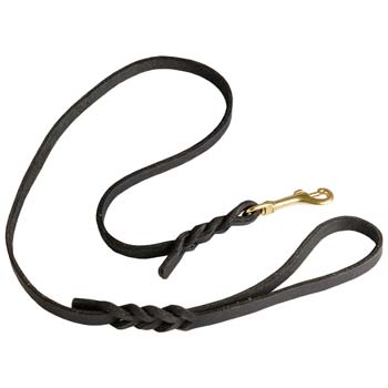 Elegant Dog Lead for Training and Walking