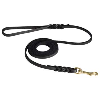 Leather Leash for Dog Shows