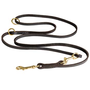 Leather Dog Leash for Walking and Training