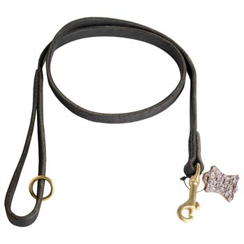 Leather Dog Leash for Training and Walking