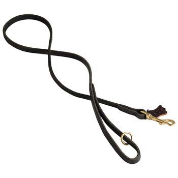 Leather Canine Lead with Brass Hardware