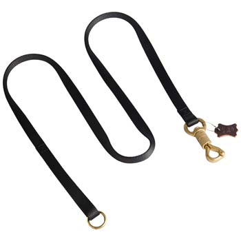 Nylon Dog Leash with Smart Lock