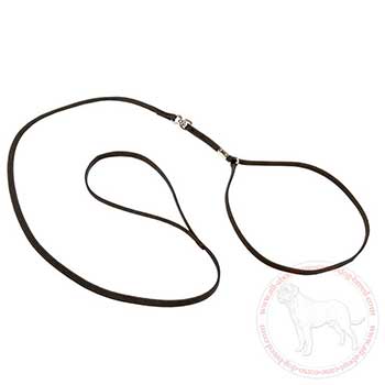 Dog show set of collar and leash for Cane Corso
