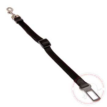 Nylon seat belt for Cane Corso safe travelling