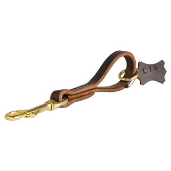 Snap tab leather leash for Cane Corso