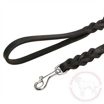 Stainless steel snap hooks leather Cane Corso leash