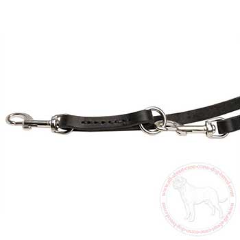 Stainless steel snap hooks of leather Cane Corso leash