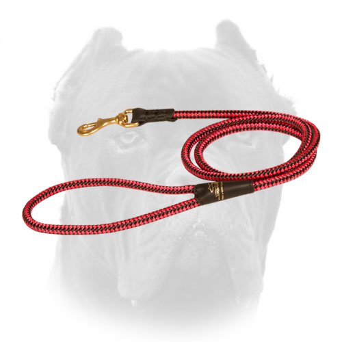 Durable nylon cord leash