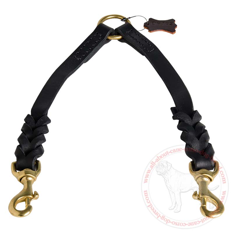 leather double dog leash