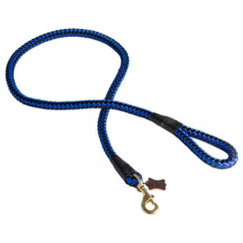 Amazing blue-black dog nylon lead for your pet