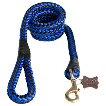 Blue-black nylon cord leash for walking large canine