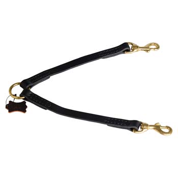 Heavy-duty leather dog coupler with brass hardware
