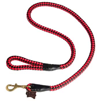 Fancy dog nylon leash with tendy red/black ornament