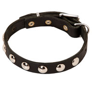 Beautiful Leather Dog Collar with Round Nickel Studs
