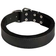 Strong Leather Dog Collar Padded with Thick Felt for Cane Corso