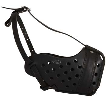 Agitation leather muzzle for Cane Corso